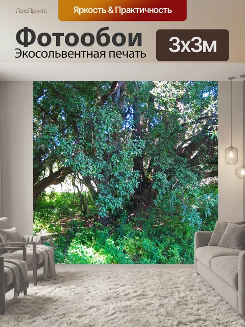 Фотообои ветви и листья на чудо-бума