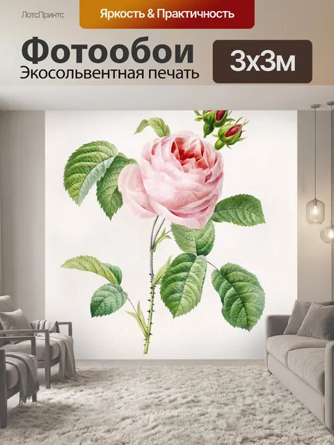 Фотообои Роза винтаж модерн старый