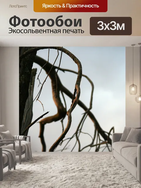 Фотообои закрыть сухую ветку