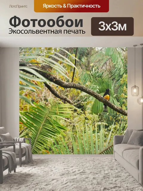 Фотообои Джунгли