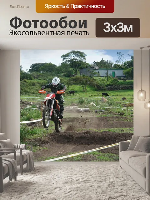 Фотообои Мотоциклист