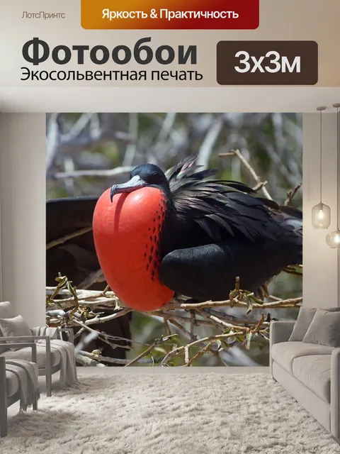 Фотообои Большой фрегат
