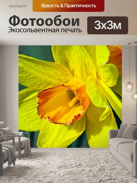 Фотообои Крупным планом оранжевый и желтый жонкиль