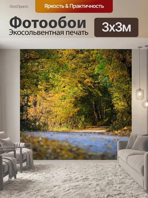 Фотообои Дорога