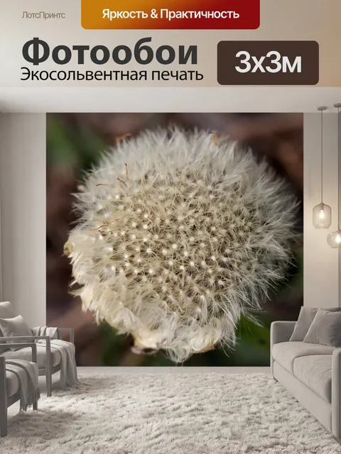 Фотообои Одуванчик