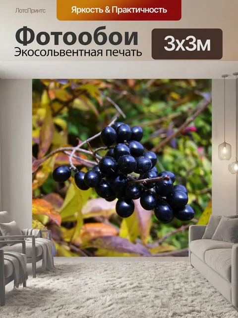 Фотообои Ягодный урожай