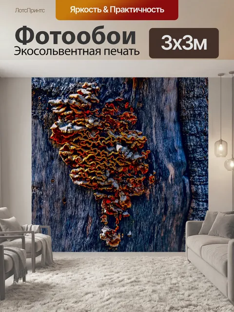 Фотообои Фон текстуры дерева Fungus