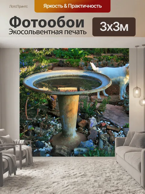 Фотообои ванна птицы и собаки