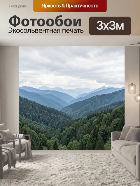300 × 300 см · Экосольвентная печать