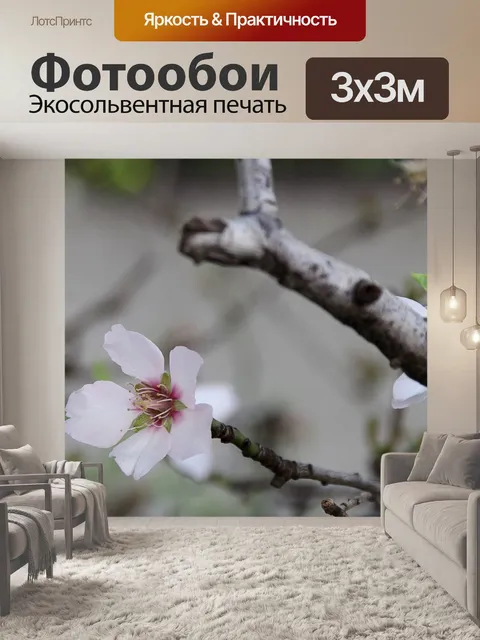 Фотообои Миндальные цветы и ветви