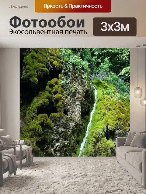 Фотообои Падение друаза