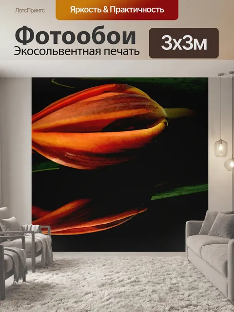 Фотообои Оранжевый