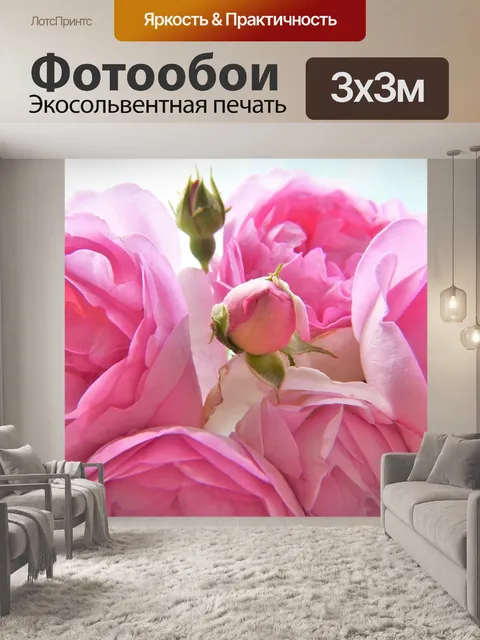Фотообои Роза