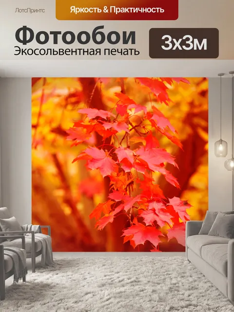Фотообои красный и желтый осенью