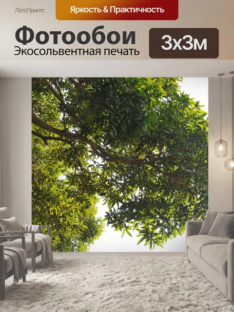 Фотообои Деревья