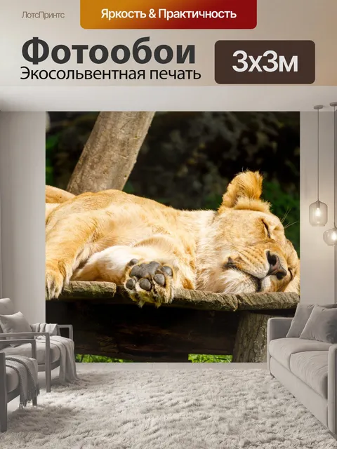 Фотообои спящая львица