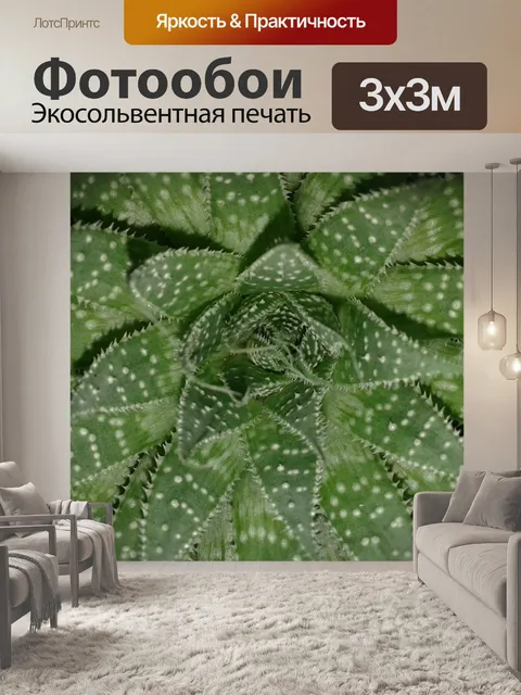 Фотообои Алоэ вера