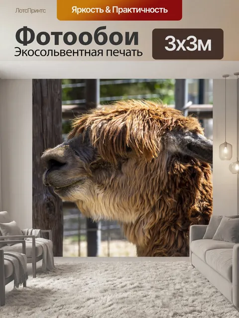 Фотообои альпака