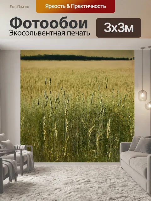Фотообои старое поле пшеницы, заросшее сорняками и дикими цветами, брошенное и тихое