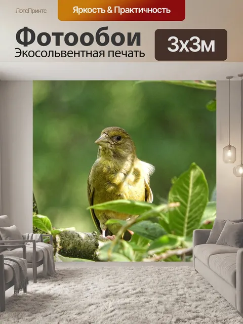 Фотообои Зеленушка