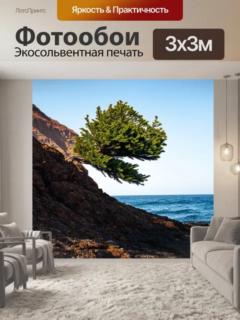 Фотообои вечнозеленое дерево, растущее на скалистом побережье, раскосое под влиянием сильного ветра, запечатленное в…