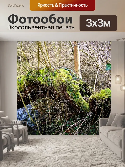 Фотообои Упавшее дерево