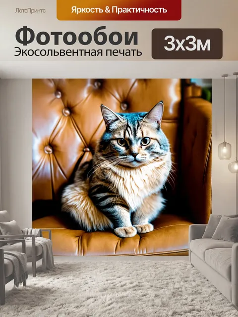 Фотообои кот, сидящий на стуле, внимательно слушает музыку