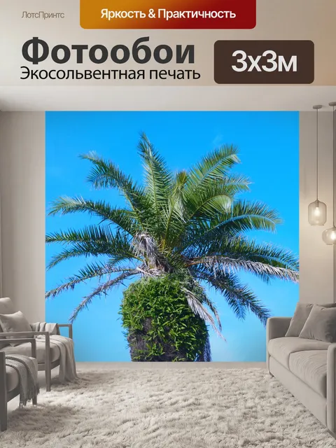 Фотообои Пальма