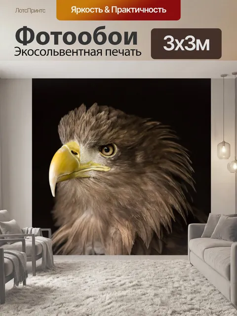 Фотообои Морской орел