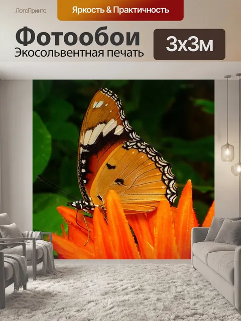 Фотообои Бабочка