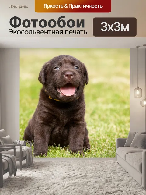 Фотообои Щенок