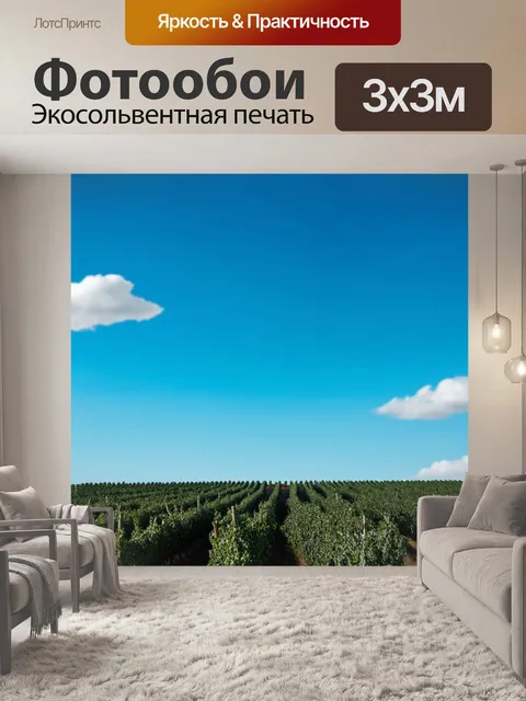 Фотообои зеленые в стиле фотореализм, поле с оливковыми деревьями под ясным голубым небом, одинокие облака проплывают