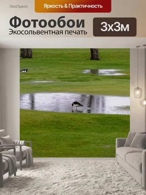 Фотообои Птица дикой природы