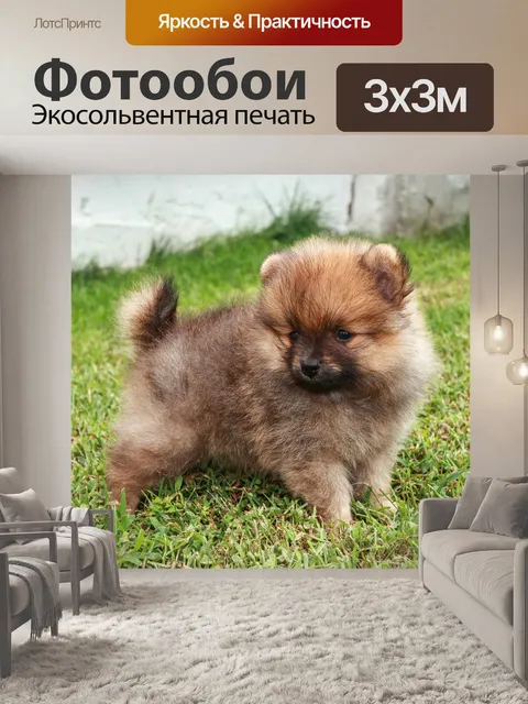 Фотообои Щенок