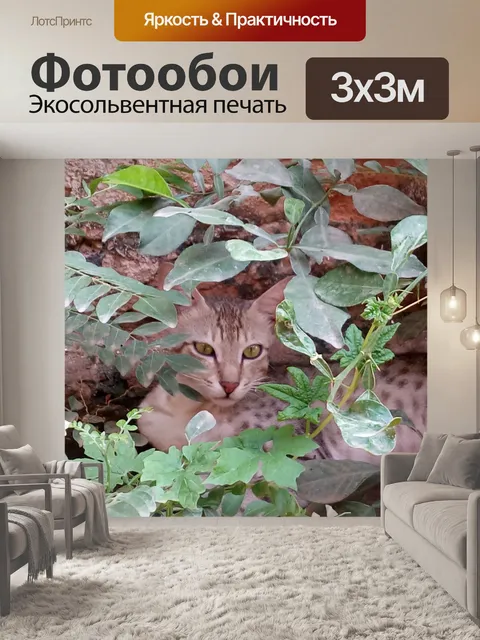 Фотообои Красивая кошка