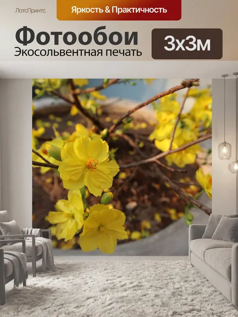 Фотообои Желтый цветок абрикоса