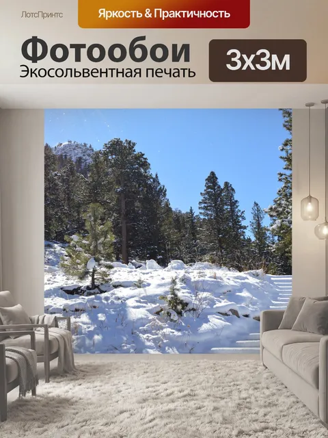 Фотообои Снег