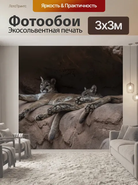 Фотообои Два горных льва