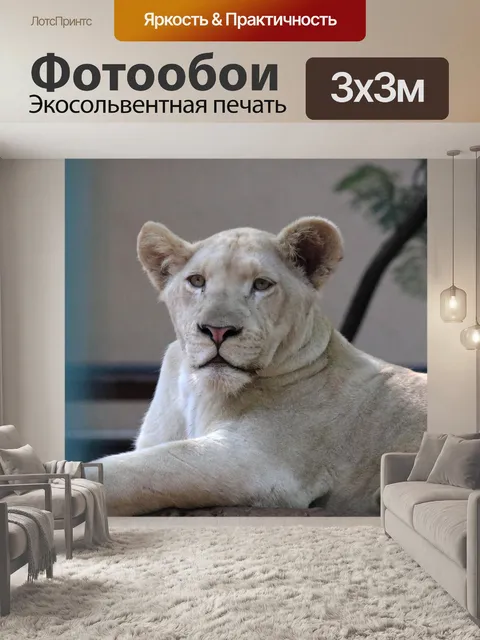 Фотообои молодая львица в клетке