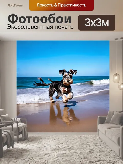 Фотообои цвергшнауцер бегает по побережью, его шерсть развевается на ветру, а волны игрывают под его лапами