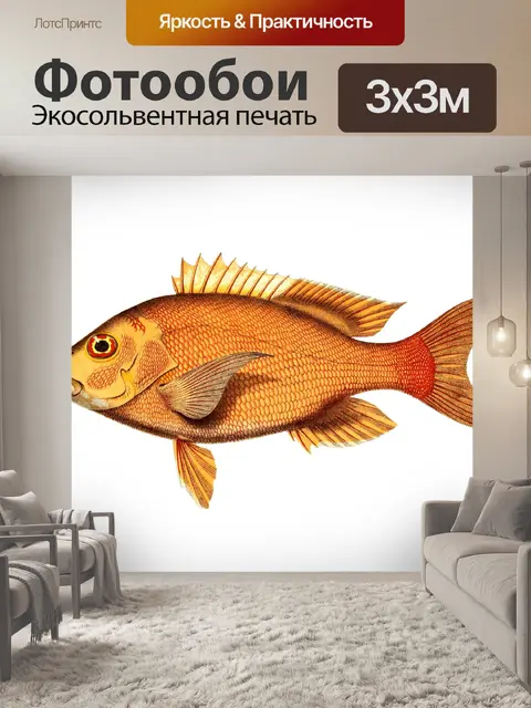 Фотообои Рыба Red Snapper Vintage Art