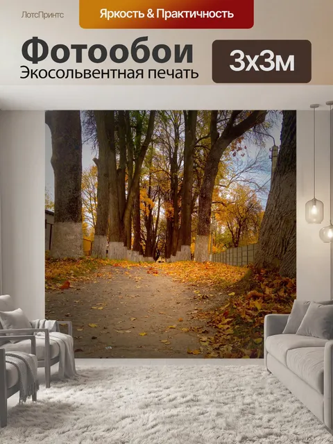 Фотообои Осенняя аллея
