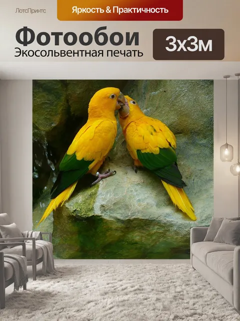 Фотообои Золотые попугаи