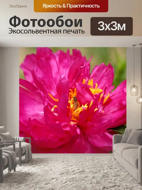 Фотообои Пион