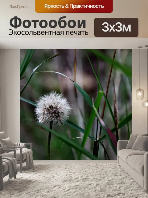 Фотообои Одинокий одуванчик