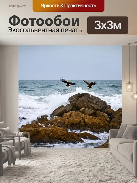 Фотообои охота на скалистом побережье, где морские орлы ловят рыбу, а волны разбиваются о скалы