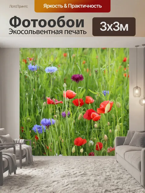 Фотообои Красочные Полевые цветы Красные маки