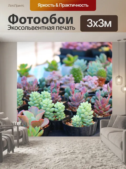 Фотообои Мясистый
