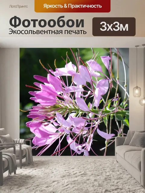 Фотообои Сад