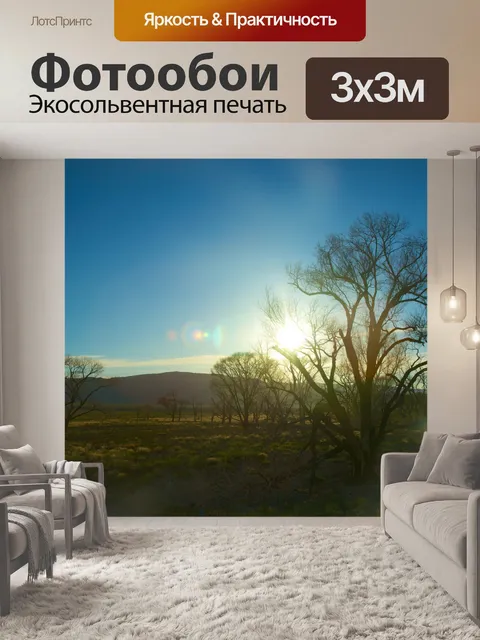 Фотообои Саншайн Через Сгоревшие деревья
